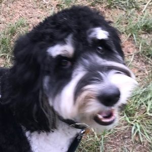 Meet your Posher, Jill